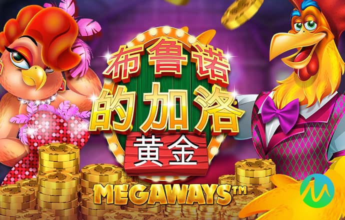 中欧体育kok网页版